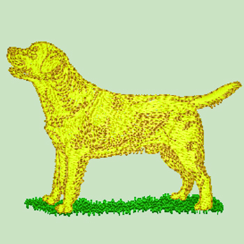 Yellow Labrador (WD130Y) - Click Image to Close